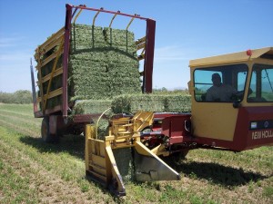 cache_2590424704 new holland