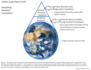 similarity socialism unique diversity capitalism