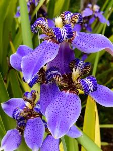 92893954_10159144731737502_2401136827294547968_o