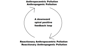 anthropocentric pollution reactionary anthropocentric pollution cycle