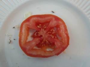 20200726_124626-lunch tomato
